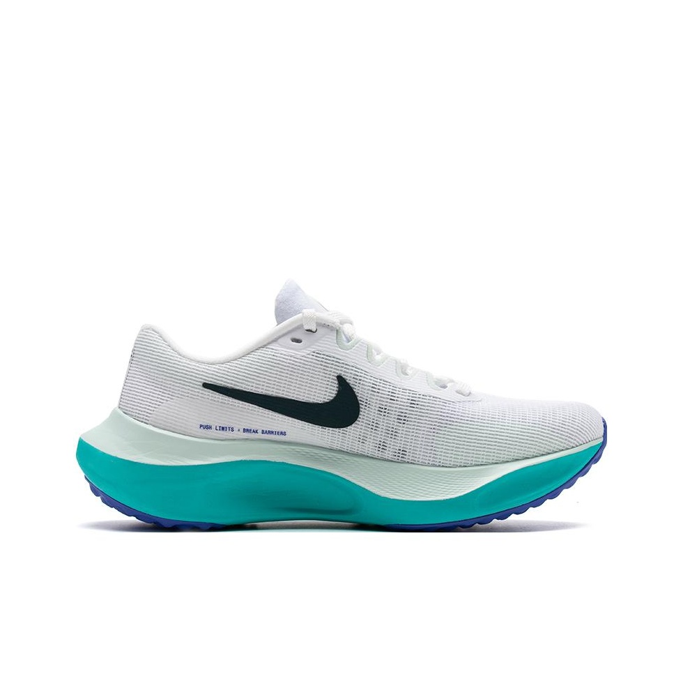 Sepatu Lari Nike Zoom Fly 5 Lo - Nike Shoes Zoom Fly 5 ulasan dan harga